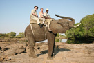 Elephant-back safari.