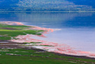 Flamingos at Lake Nakuru.